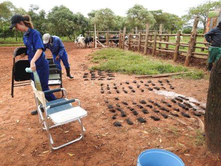 BVG-on-farm-training-a