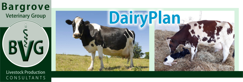 Bargrove-DairyPlan
