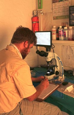 Bargrove-Jesse-at-work-at-microscope