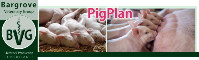 Bargrove-PigPlan