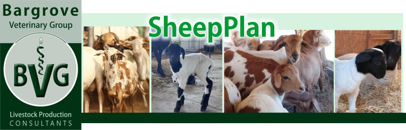 Bargrove-SheepPlan