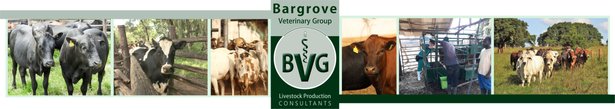 Bargrove-Veterinary-Group-About-Us-Page-Banne