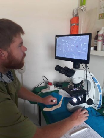 Bargrove-Veterinary-Group-Jesse