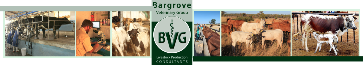 Bargrove-Veterinary-Group-contact-us-page-banner.png