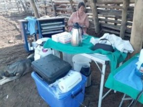 Bargrove-Veterinary-Group-farm-action