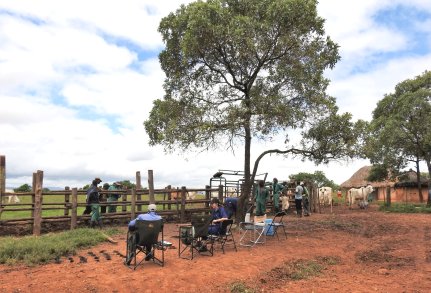 Bargrove-Veterinary-Group-field-training