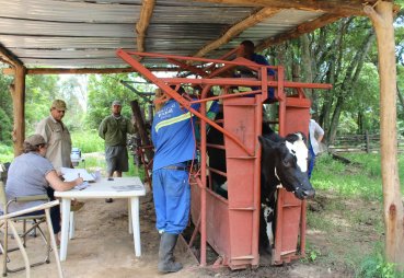 Bargrove-Veterinary-Group-field-work-on-farm